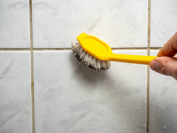 Best Black Mold Removal  in Newfoundland, NJ
