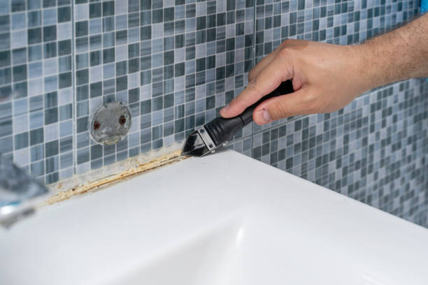 Best Mold Removal Process  in Newfoundland, NJ